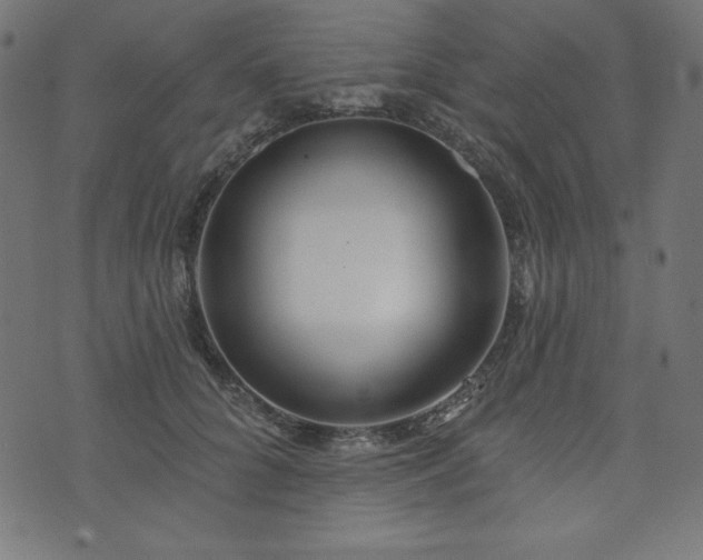 X0000074010704200608211422