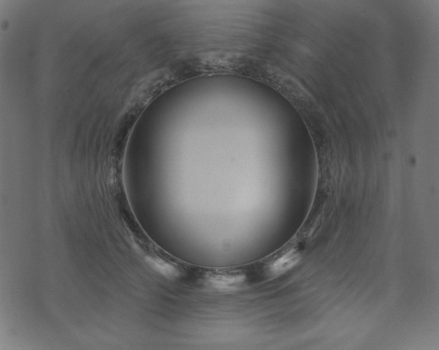 X0000074010706200608211422