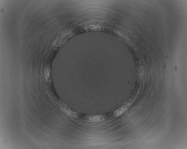 X0000074010709200608211422