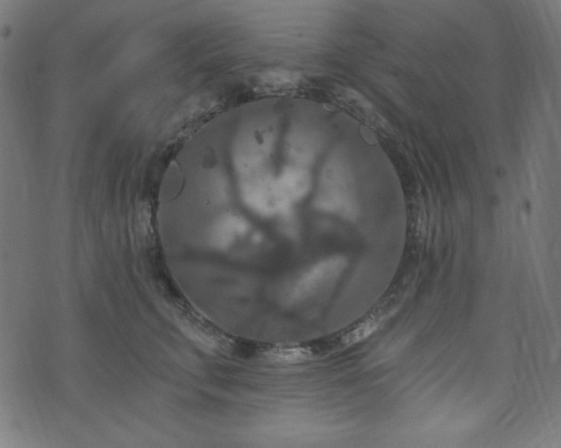 X0000074010711200608211422