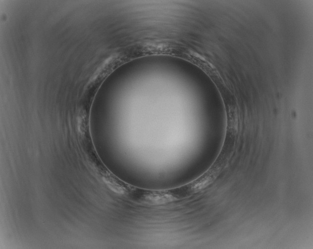 X0000074010712200608211422