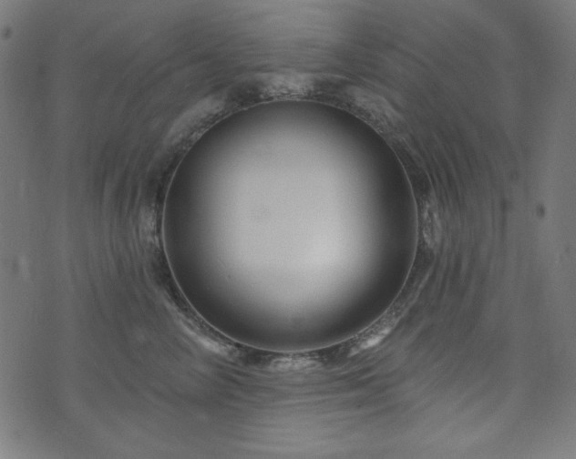 X0000074010714200608211422