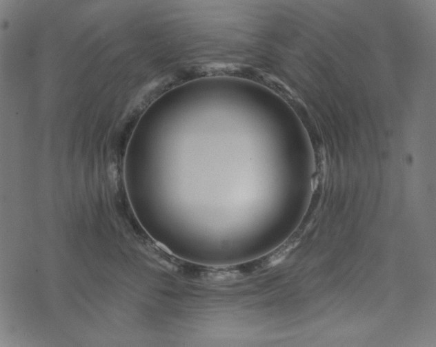 X0000074010716200608211422