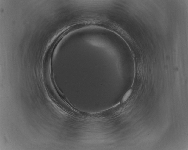 X0000074010722200608211421