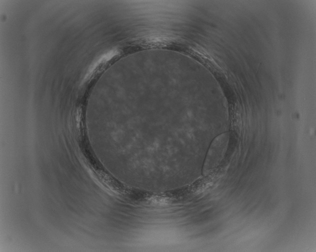X0000074010742200608211421