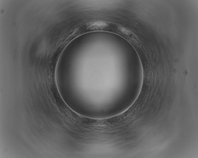 X0000074010743200608211421