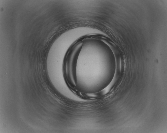 X0000074010750200608211421