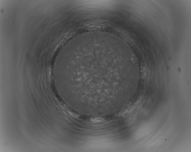 X0000074010753200608211421