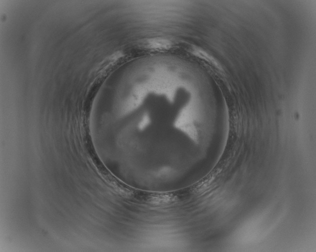 X0000074010757200608211421