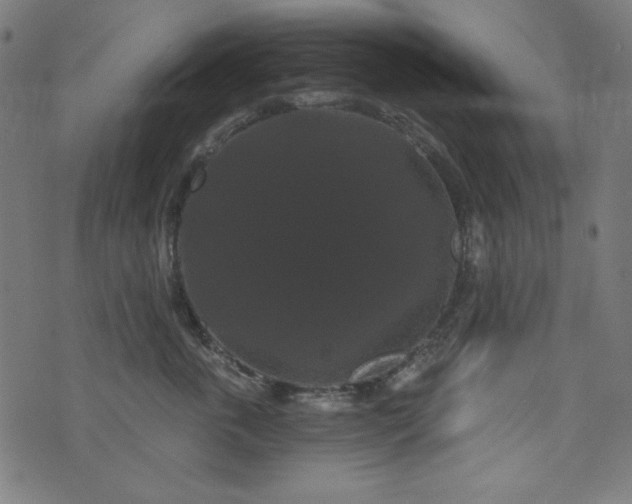 X0000074010763200608211422