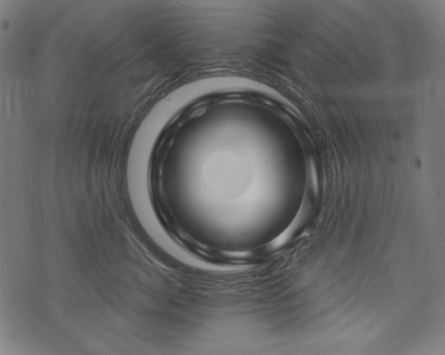 X0000074010764200608211422