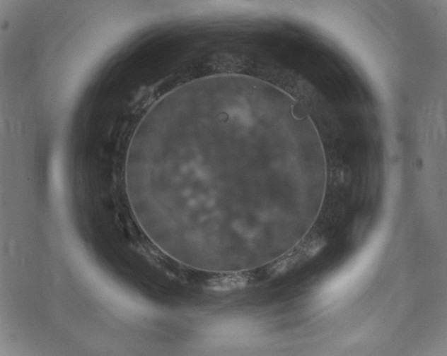 X0000074010765200608211422