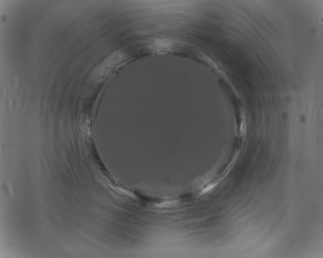 X0000074010766200608211422