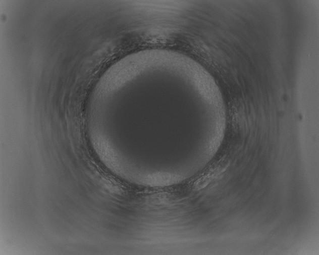 X0000074010769200608211421
