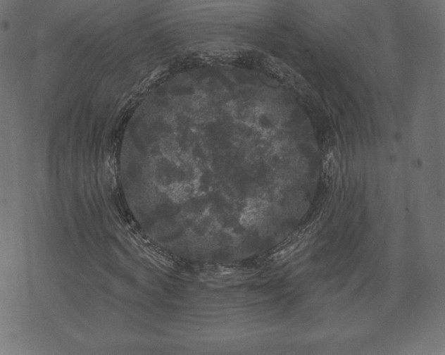 X0000074010772200608211421