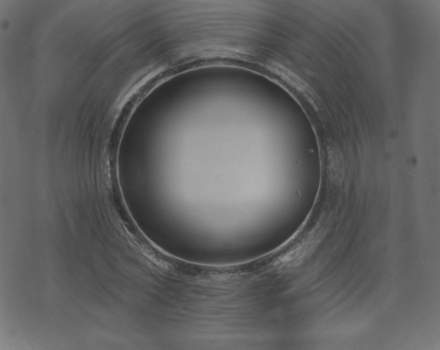 X0000074010782200608211421
