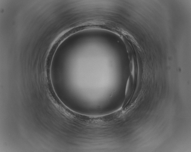 X0000074010784200608211421