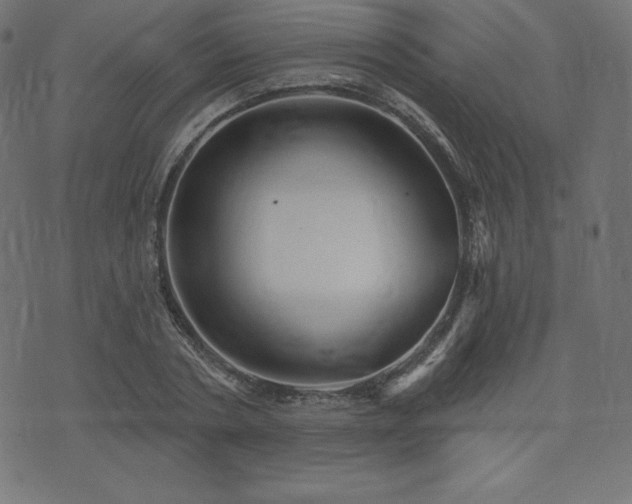 X0000074010786200608211421