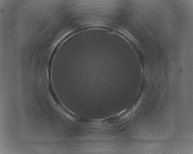 X0000074010790200608211420