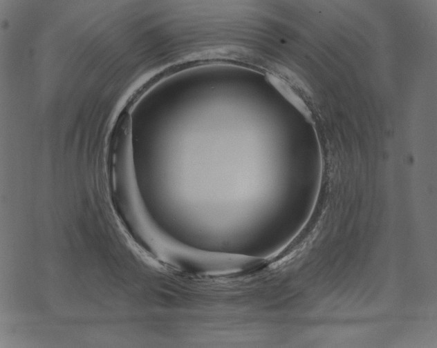 X0000074010792200608211420