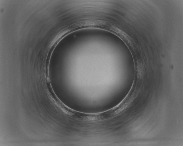 X0000074010794200608211420