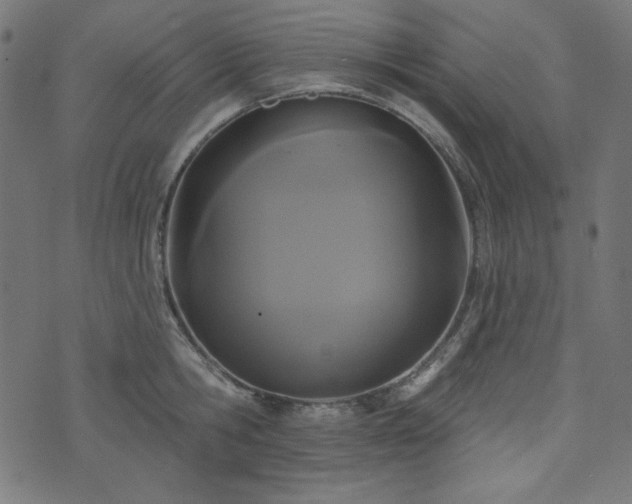 X0000074010806200608211420
