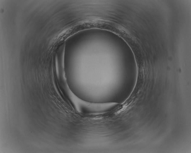 X0000074010822200608211419