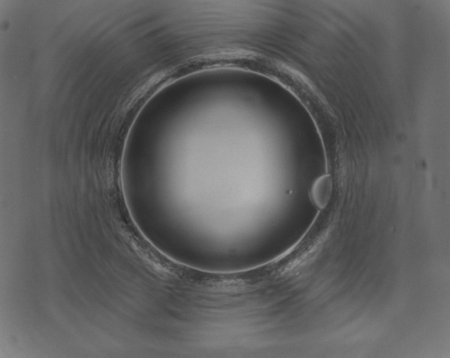 X0000074010833200608211420