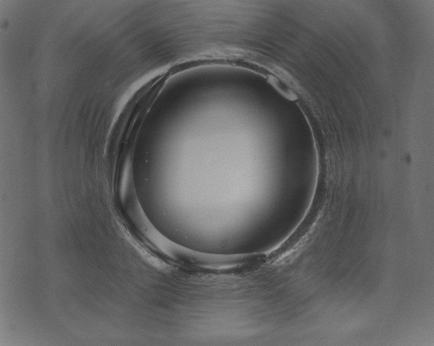 X0000074010838200608211420