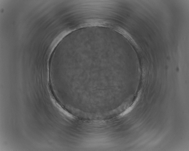 X0000074010844200608211420