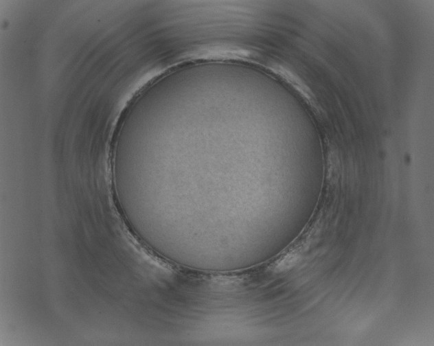 X0000074010848200608211420
