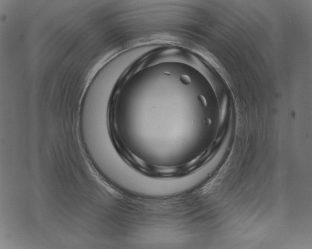 X0000074010850200608211420