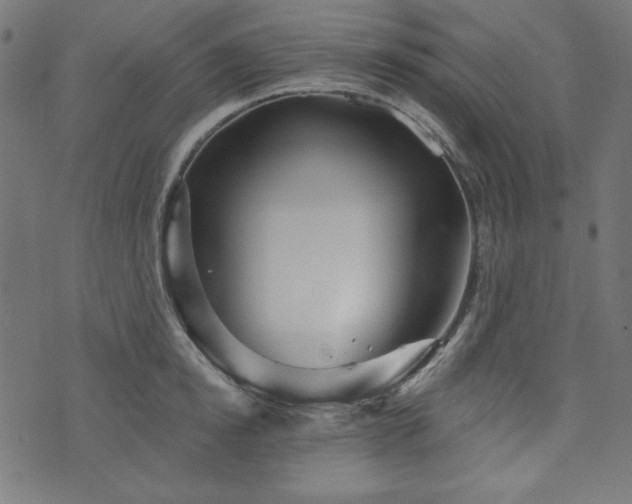 X0000074010854200608211420
