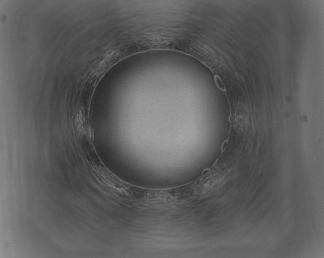 X0000074010866200608211419
