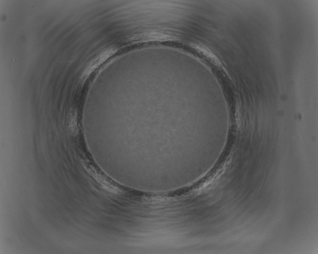 X0000074010873200608211419