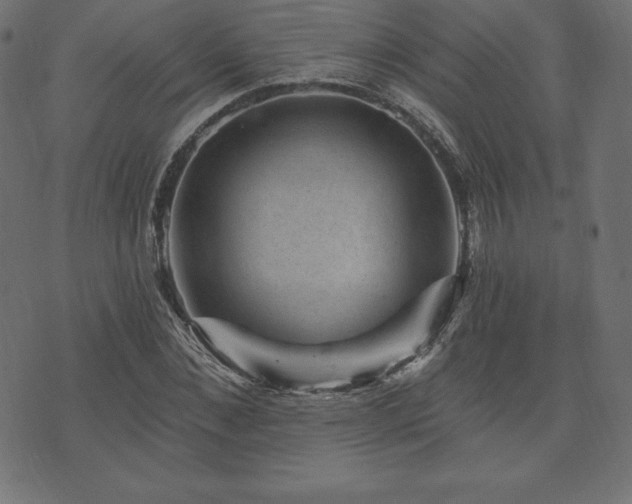 X0000074010876200608211419