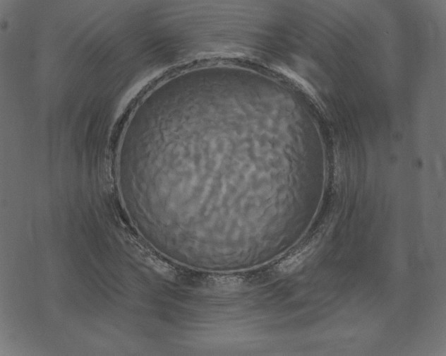 X0000074010878200608211419