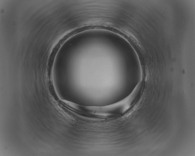 X0000074010880200608211419