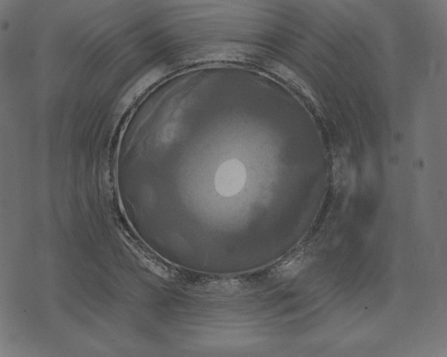 X0000074010882200608211419
