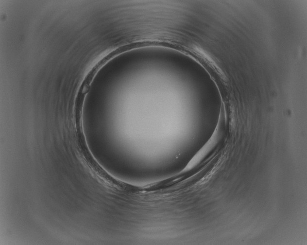 X0000074010884200608211419