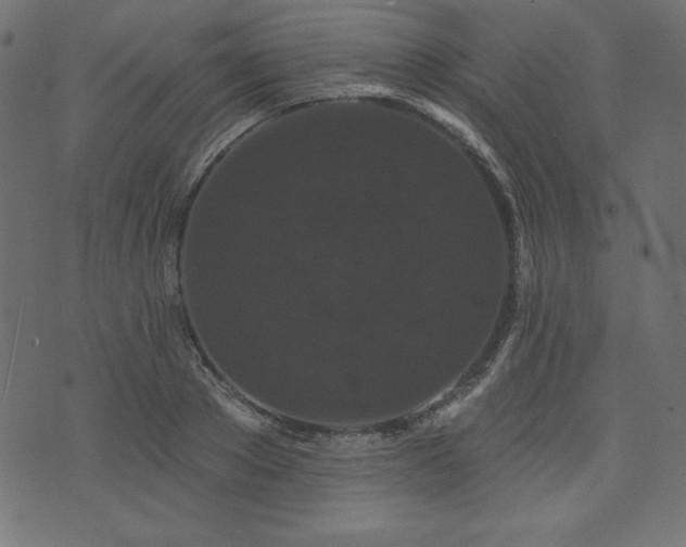 X0000074010889200608211419