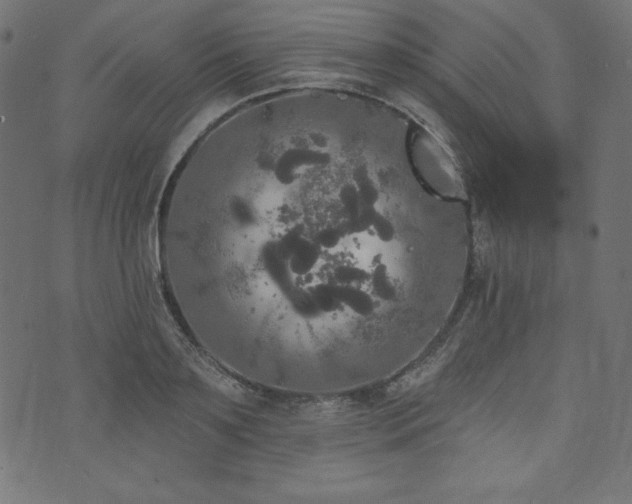 X0000074010891200608211419