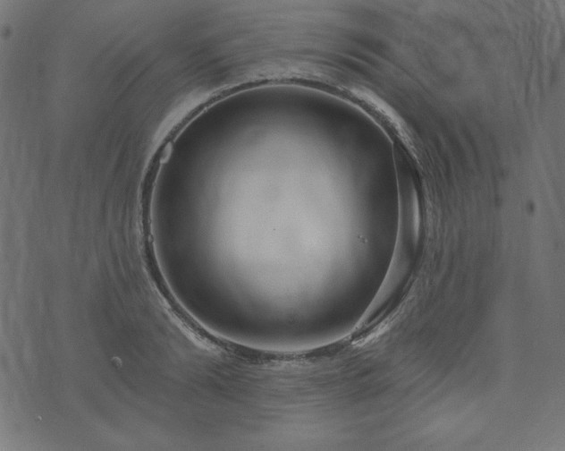 X0000074010894200608211419