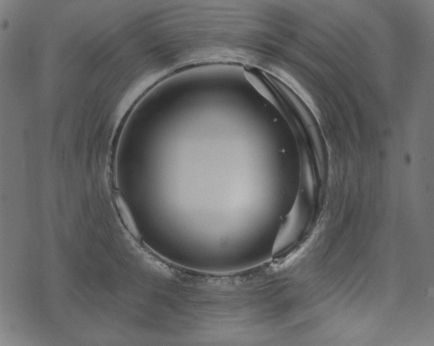 X0000074010901200608211419