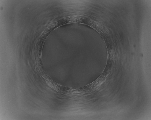 X0000074010913200608211418