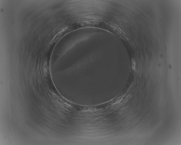 X0000074010915200608211418