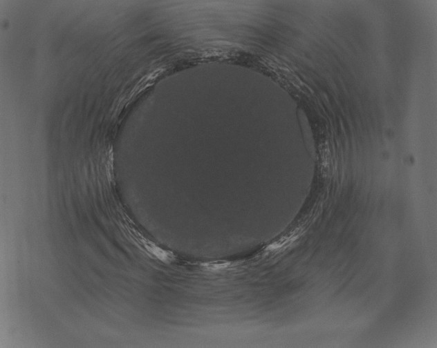 X0000074010916200608211418