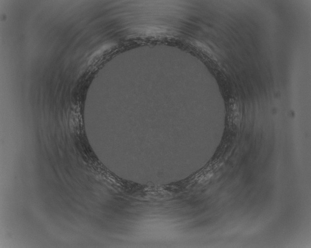 X0000074010918200608211418