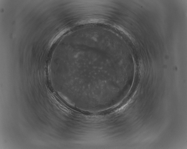 X0000074010921200608211418