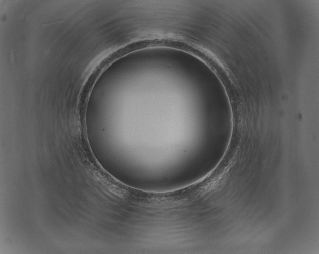 X0000074010927200608211418